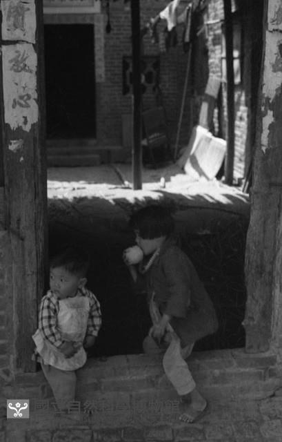 1950至2006年臺灣常民生活藏品圖，第1張