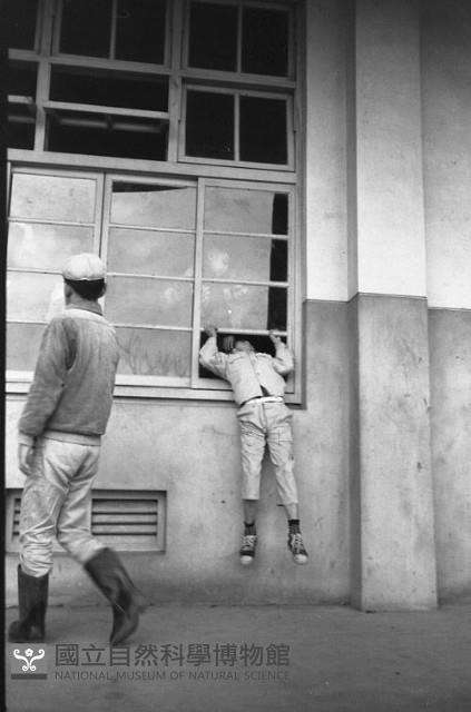 1950至2006年臺灣常民生活藏品圖，第1張