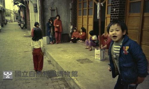 Accession Number:MP2007012409.0002 Collection Image