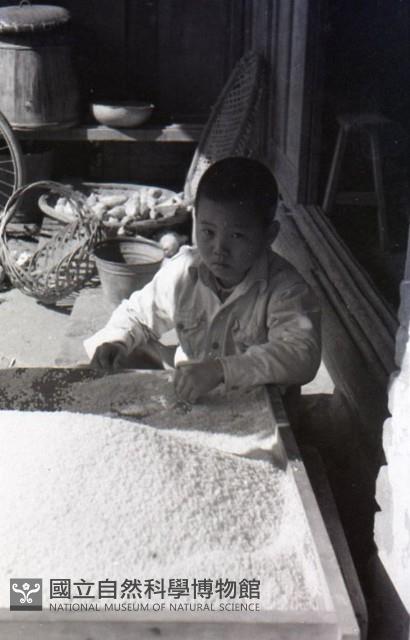 1950至2006年臺灣常民生活藏品圖，第1張