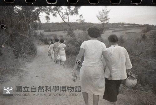 1950至2006年臺灣常民生活藏品圖，第1張