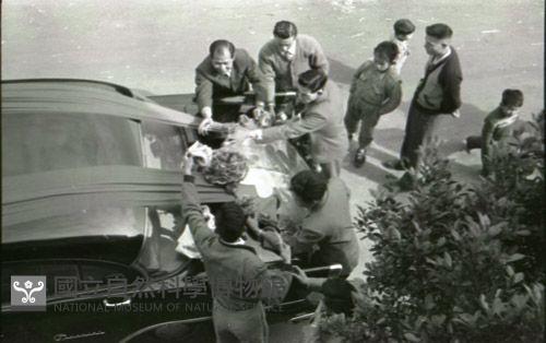 1950至2006年臺灣常民生活藏品圖，第1張