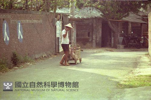 1950至2006年臺灣常民生活藏品圖，第1張