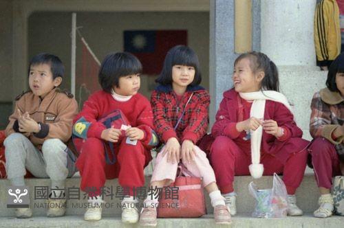 1950至2006年臺灣常民生活藏品圖，第1張