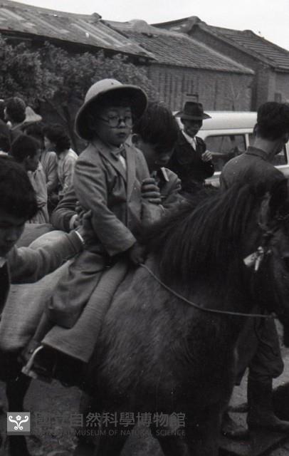 1950至2006年臺灣常民生活藏品圖，第1張