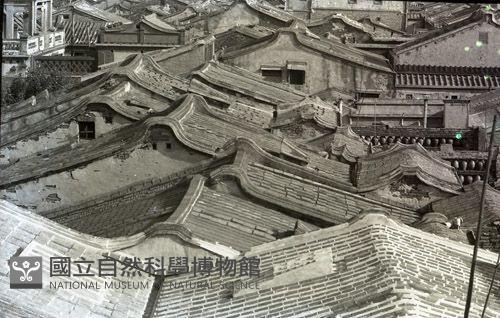 1950至2006年臺灣常民生活藏品圖，第1張