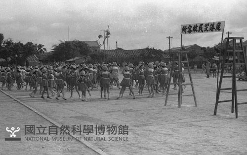 1950至2006年臺灣常民生活藏品圖，第1張