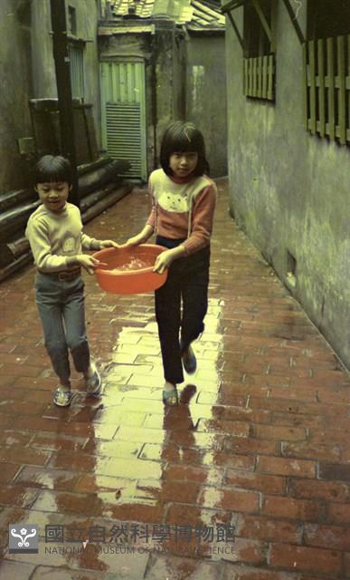 1950至2006年臺灣常民生活藏品圖，第1張