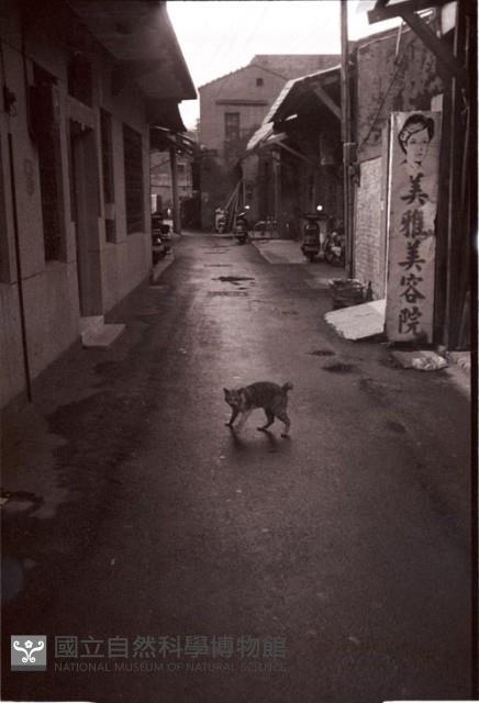 1950至2006年臺灣常民生活藏品圖，第1張