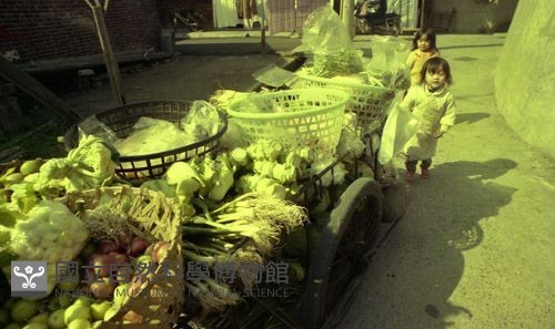 1950至2006年臺灣常民生活藏品圖，第1張