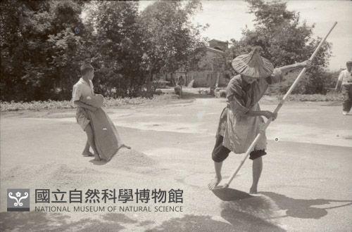 1950至2006年臺灣常民生活藏品圖，第1張