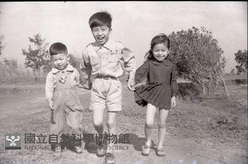 1950至2006年臺灣常民生活藏品圖，第1張