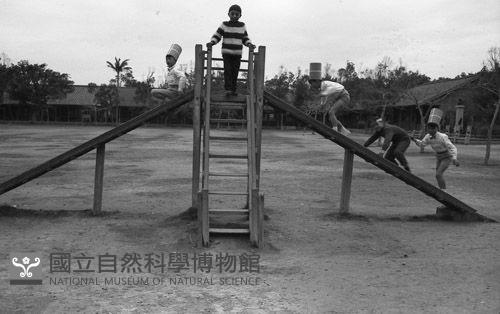 1950至2006年臺灣常民生活藏品圖，第1張