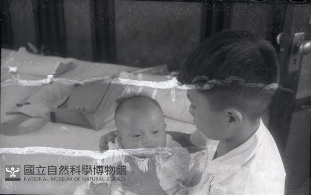 手足情深哥倆好（1950至2006年臺灣常民生活）藏品圖，第1張