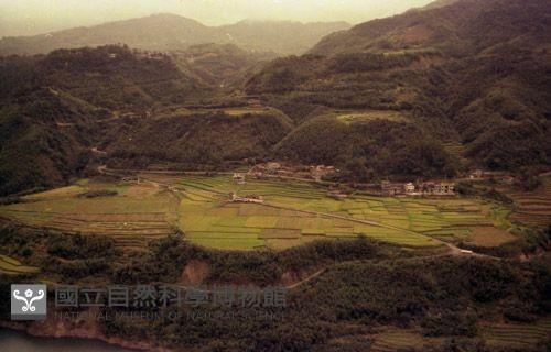 1950至2006年臺灣常民生活藏品圖，第1張