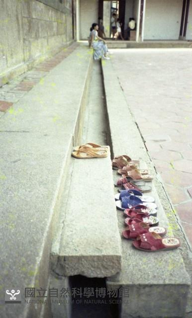 1950至2006年臺灣常民生活藏品圖，第1張