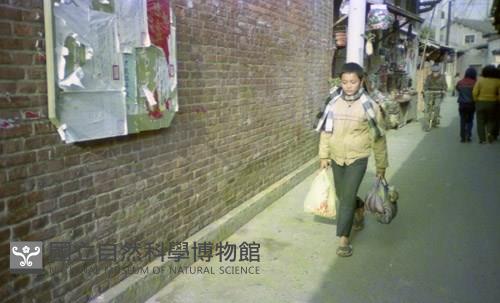 1950至2006年臺灣常民生活藏品圖，第1張