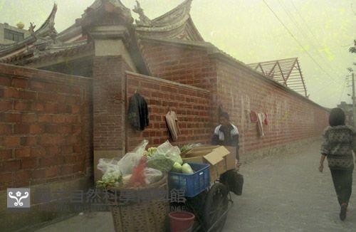 1950至2006年臺灣常民生活藏品圖，第1張