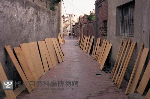 1950至2006年臺灣常民生活藏品圖，第1張