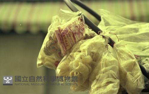 1950至2006年臺灣常民生活藏品圖，第1張
