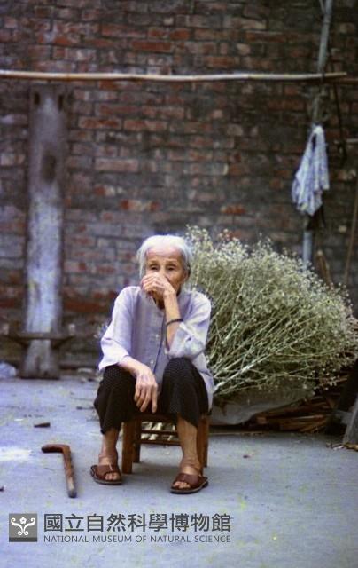 1950至2006年臺灣常民生活藏品圖，第1張