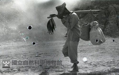 1950至2006年臺灣常民生活藏品圖，第1張