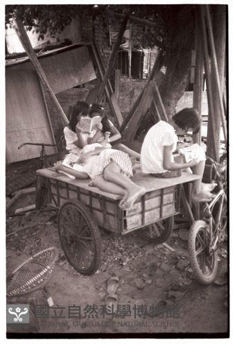 1950至2006年臺灣常民生活藏品圖，第1張