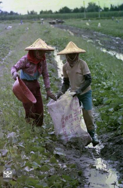 1950至2006年臺灣常民生活藏品圖，第1張