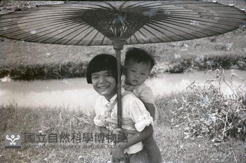 1950至2006年臺灣常民生活藏品圖，第1張