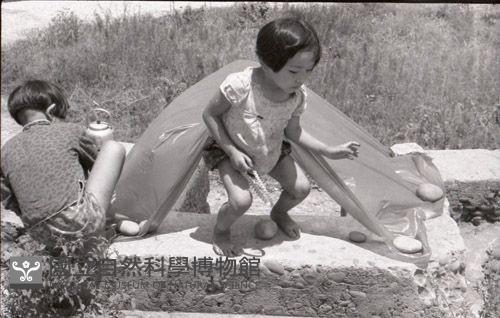 1950至2006年臺灣常民生活藏品圖，第1張