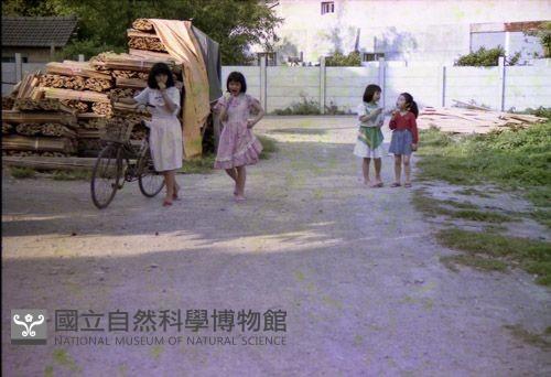 1950至2006年臺灣常民生活藏品圖，第1張