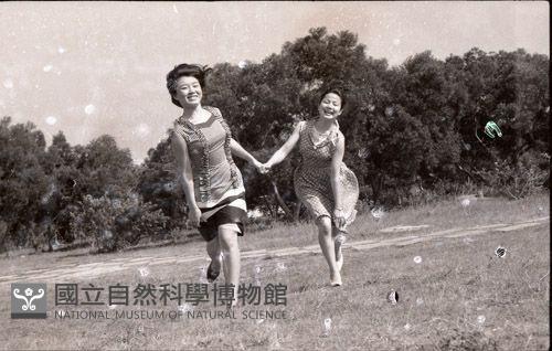 1950至2006年臺灣常民生活藏品圖，第1張
