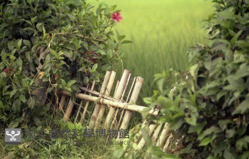 1950至2006年臺灣常民生活藏品圖，第1張