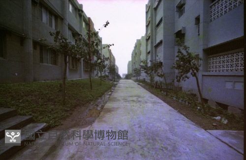 1950至2006年臺灣常民生活藏品圖，第1張