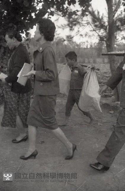 1950至2006年台灣常民生活藏品圖，第1張