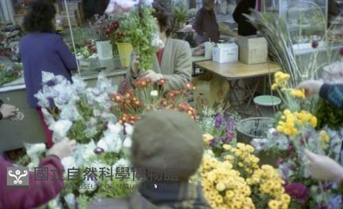 Accession Number:MP2007012474.0002 Collection Image