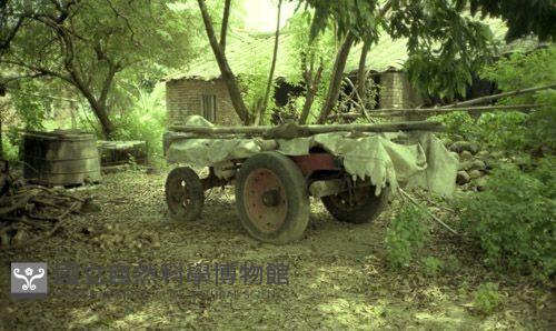 1950至2006年臺灣常民生活藏品圖，第1張