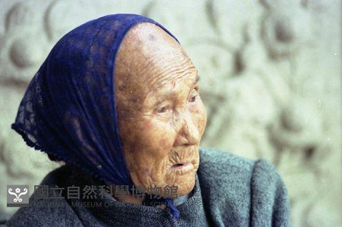 1950至2006年臺灣常民生活藏品圖，第1張
