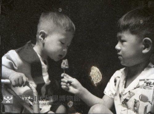 1950至2006年台灣常民生活藏品圖，第1張