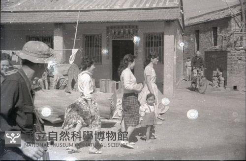 1950至2006年臺灣常民生活藏品圖，第1張
