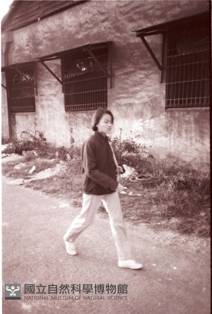 1950至2006年臺灣常民生活藏品圖，第1張