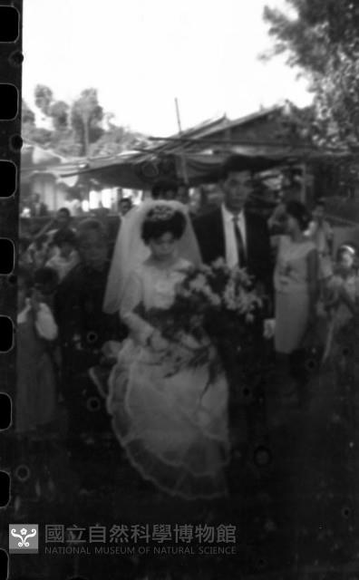 1950至2006年臺灣常民生活藏品圖，第1張