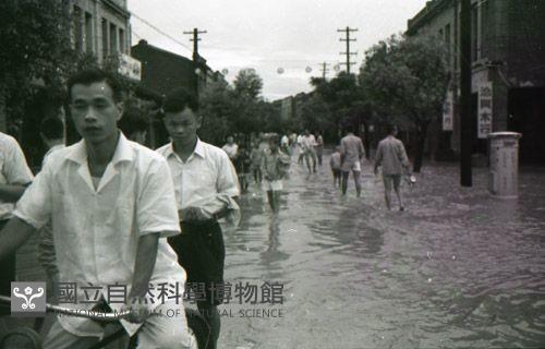 1950至2006年臺灣常民生活藏品圖，第1張