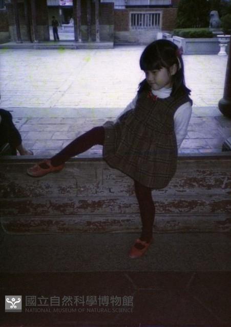 1950至2006年臺灣常民生活藏品圖，第1張