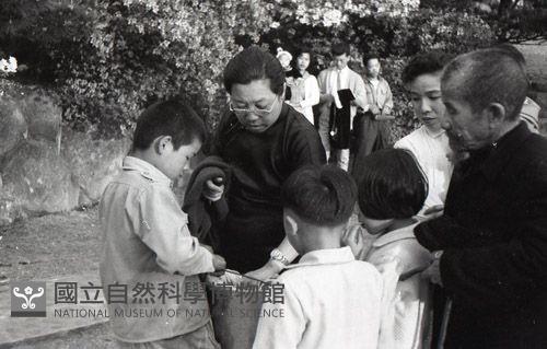 1950至2006年臺灣常民生活藏品圖，第1張