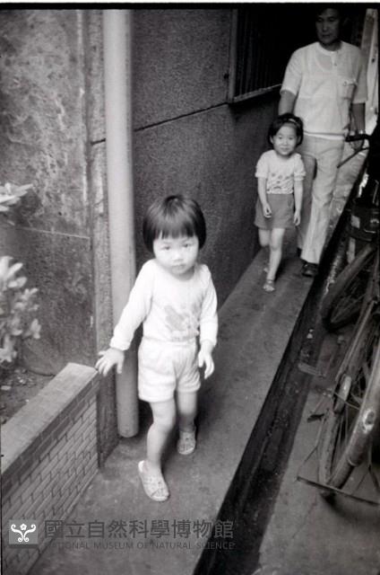 1950至2006年臺灣常民生活藏品圖，第1張