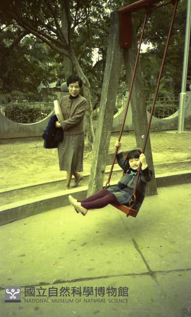 1950至2006年臺灣常民生活藏品圖，第1張