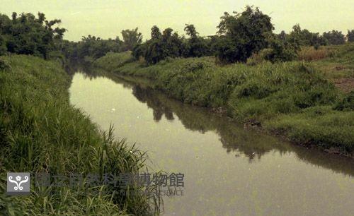 1950至2006年臺灣常民生活藏品圖，第1張