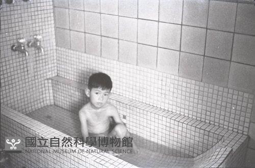 1950至2006年臺灣常民生活藏品圖，第1張