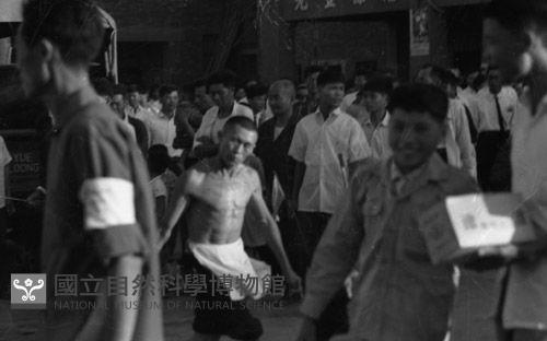 1950至2006年臺灣常民生活藏品圖，第1張